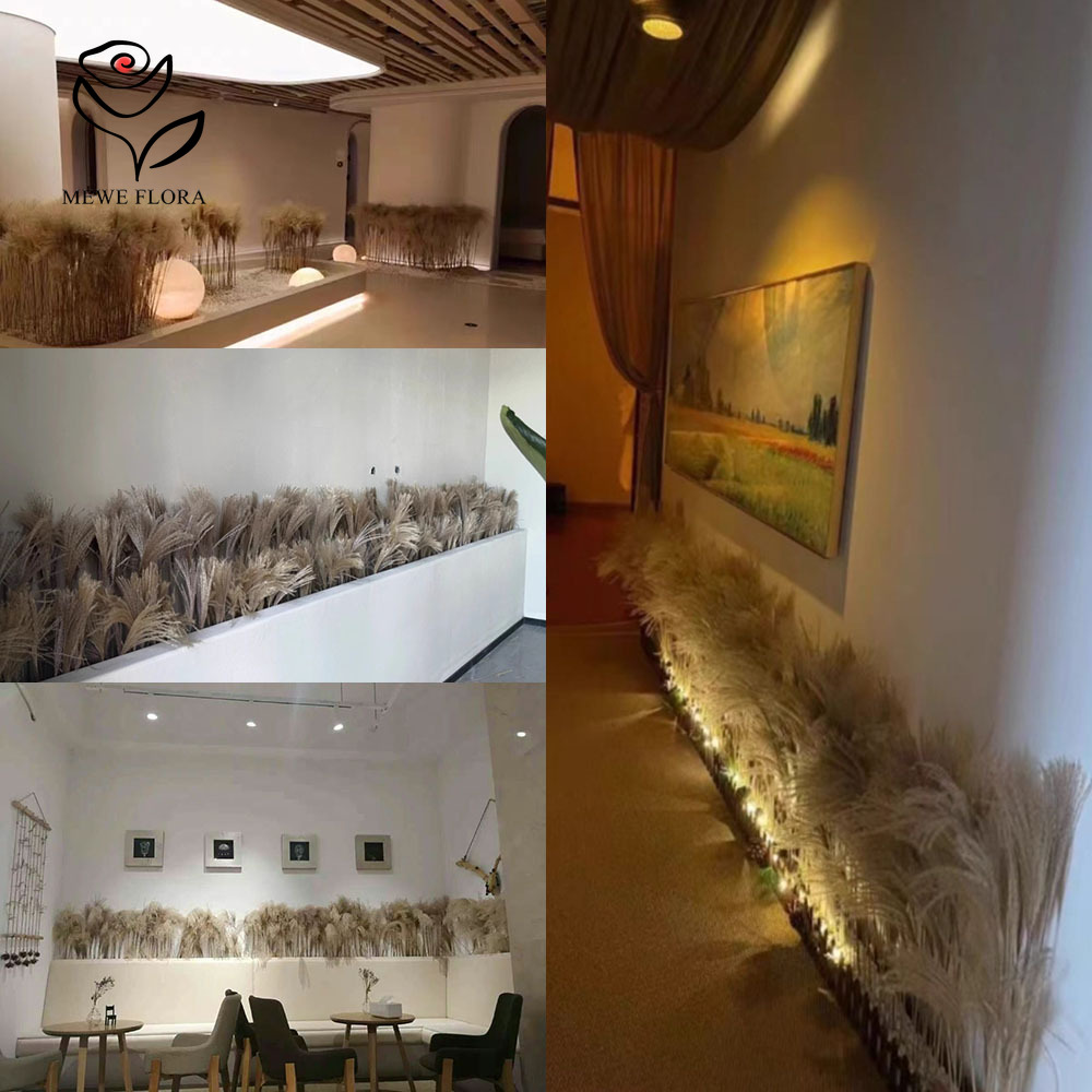 200PCS 자연 건조 푹신한 갈대 꽃 꽃다발 상점 창 - Interior Design Apartment 리뷰 및 가격